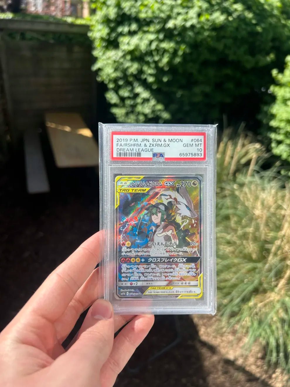 [SLAB] Reshiram & Zekrom GX 64 PSA 10 - CardX